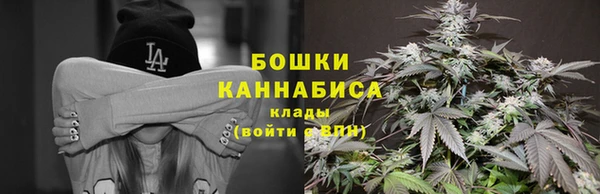 винт Аркадак